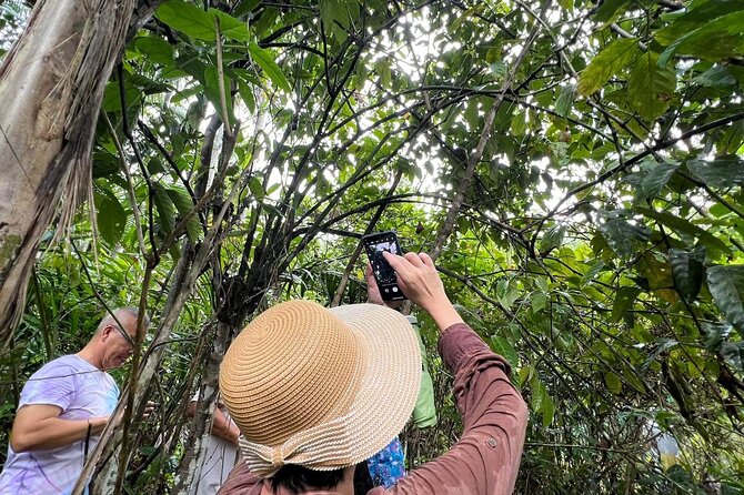 Bohol Day Tour with Round-Trip Transfers from Cebu - Meeting the tiny tarsiers