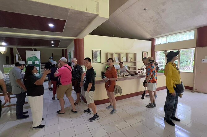 Bohol Day Tour with Round-Trip Transfers from Cebu - Chocolate Hills: Bohol’s famous oddity