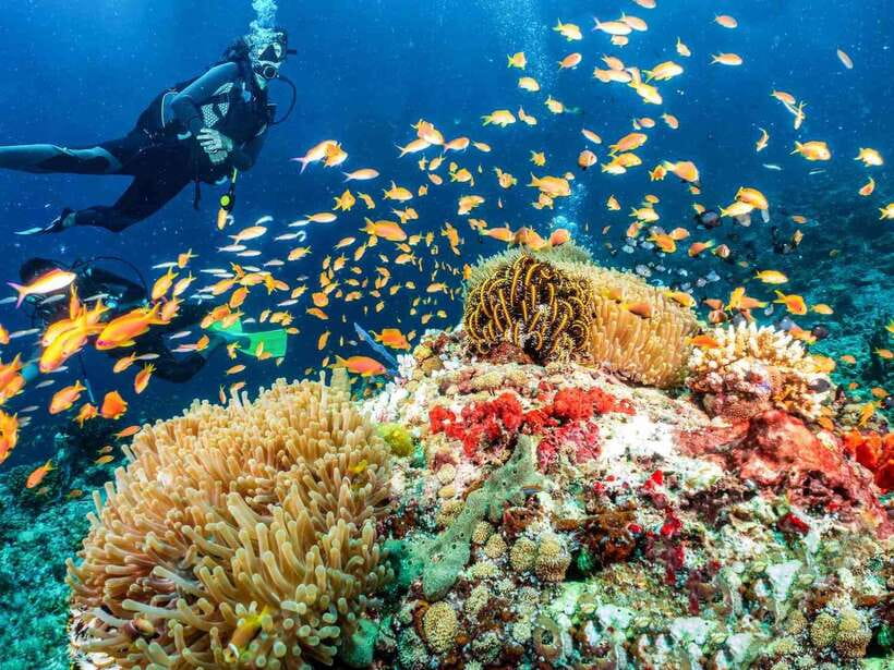 Bohol: Discover Scuba Diving - No Experience Needed - Key points at a glance