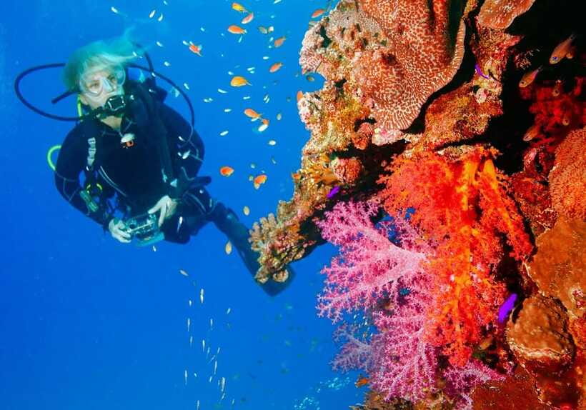 Bohol: Discover Scuba Diving - No Experience Needed - Who should book this experience?