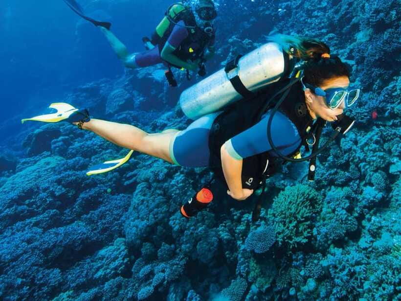 Bohol: Discover Scuba Diving - No Experience Needed - Should you book the Panglao scuba introduction?
