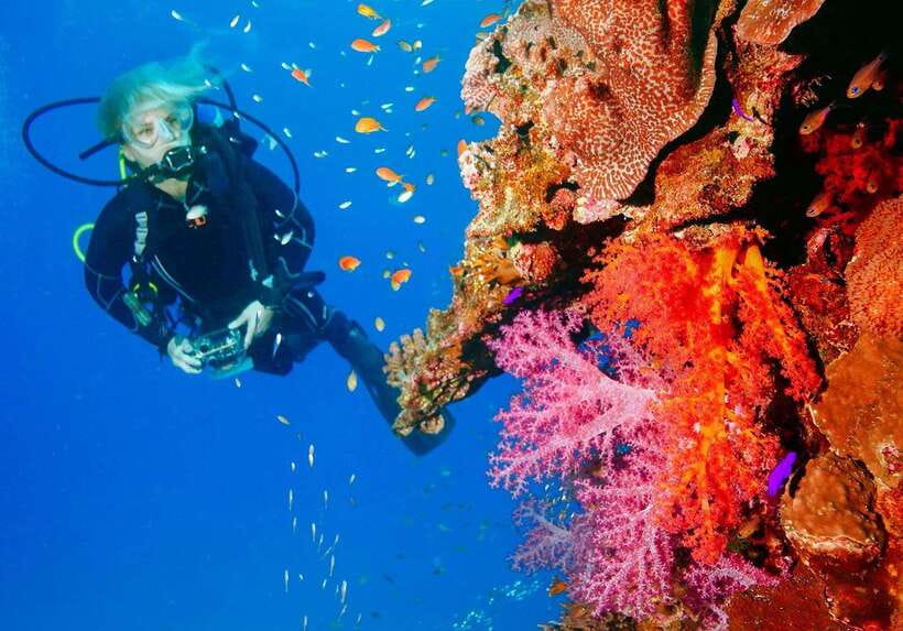 Bohol: Discover Scuba Diving - No Experience Needed - The first hour: learning the basics without jargon
