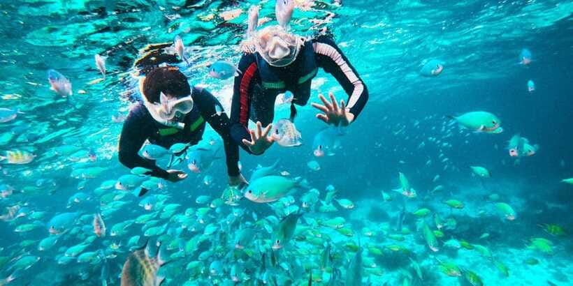 Bohol Dolphin Watching, Balicasag, and Virgin Island Tour - Balicasag Island and its protected sea life