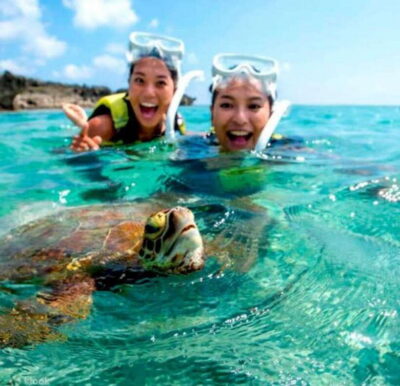 Dolphin Watching & Sea Turtle Swim Island Tour
