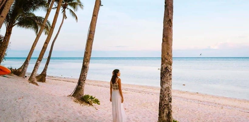 Bohol: Dolphin Watching & Sea Turtle Swim Island Tour - Group size and the pace of the tour