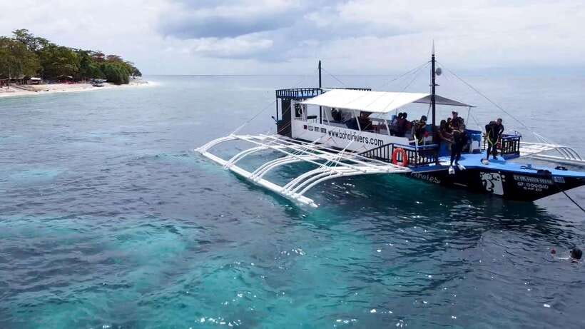 Bohol: Dolphin Watching & Snorkeling at Balicasag Island - Key points to know before booking