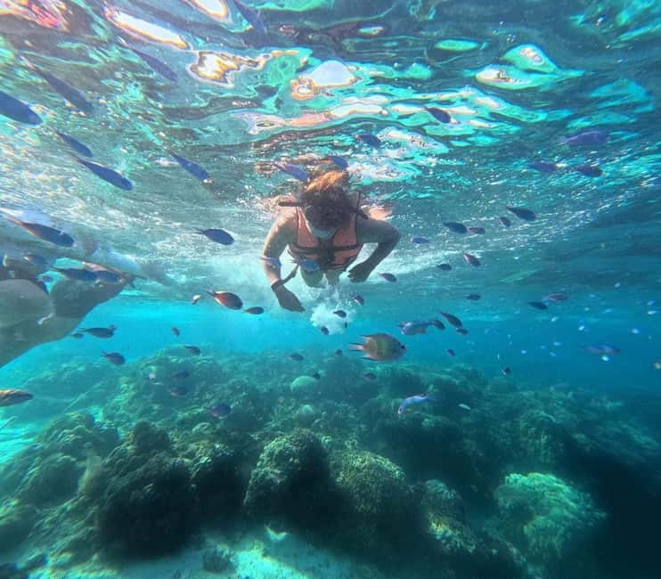 BOHOL: Dolphin Watching, Turtle Swim and Party Boat - A five-hour Bohol sea day for $69