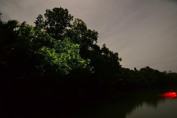 Bohol Firefly Watching (Private) - Leaving Tagbilaran or Panglao at 5:30 pm