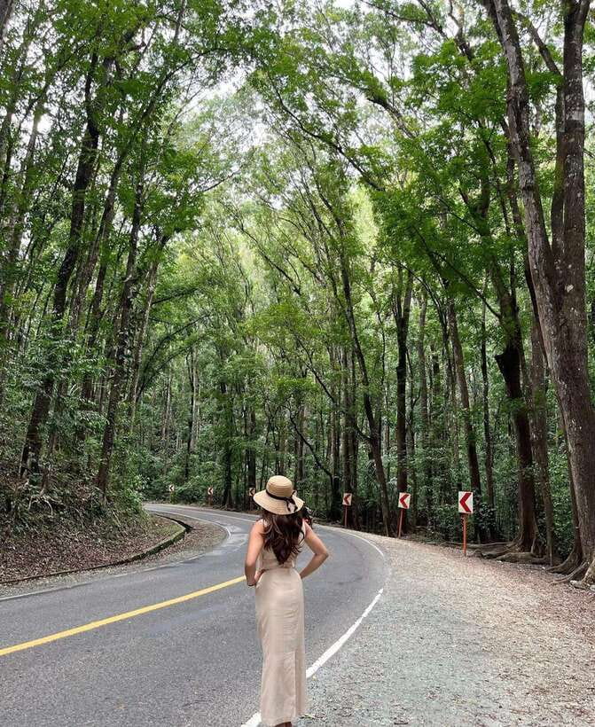 Bohol: Guided Chocolate Hills & Tarsiers Tour - Five things to know before booking