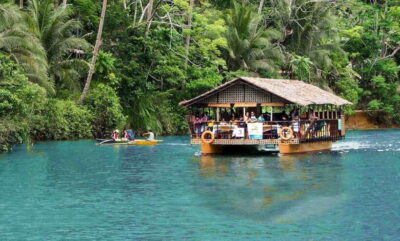 Guided Chocolate Hills & Tarsiers Tour