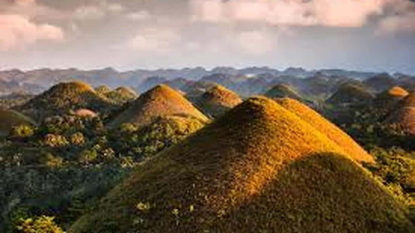 Bohol: Guided Chocolate Hills & Tarsiers Tour - Pickup details and practical preparation