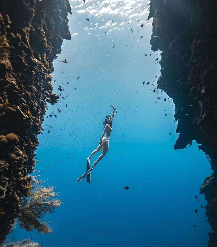 Bohol: Guided Sardine Reef Snorkeling Experience - What the Panglao Sardine Reef Experience Is Like