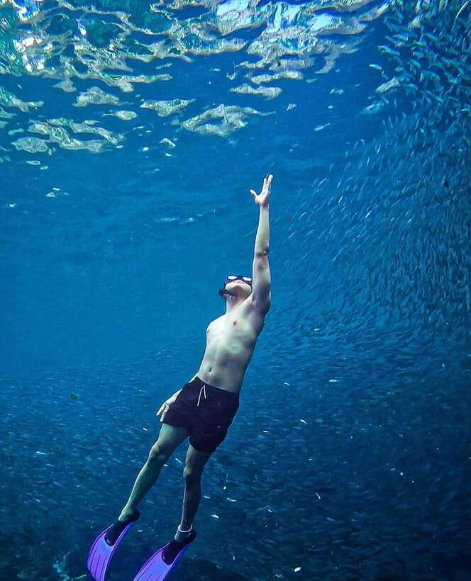 Bohol: Guided Sardine Reef Snorkeling Experience - Other Fish and the Backup Value of Reef Snorkeling
