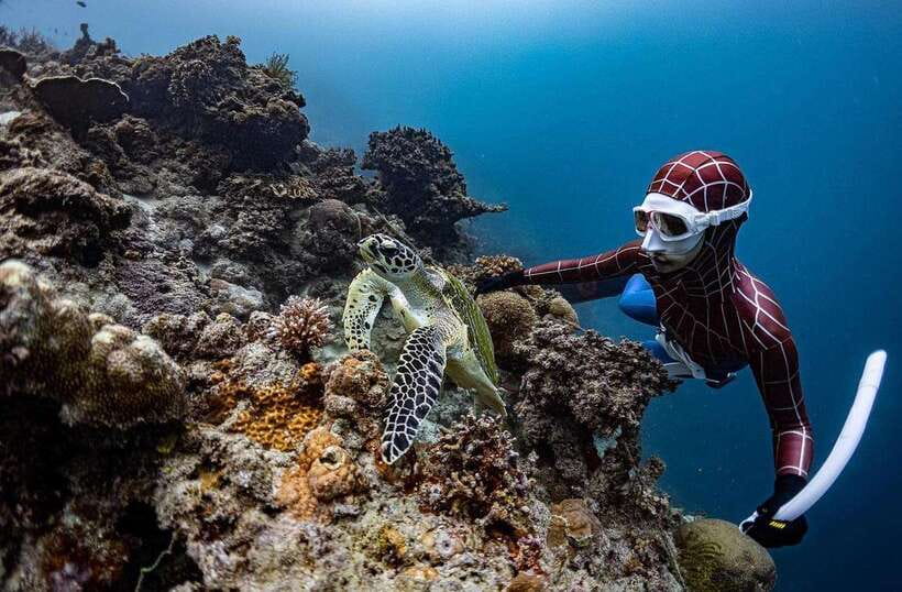 Bohol: Guided Sardine Reef Snorkeling Experience - Is Four Hours Enough for the Experience?