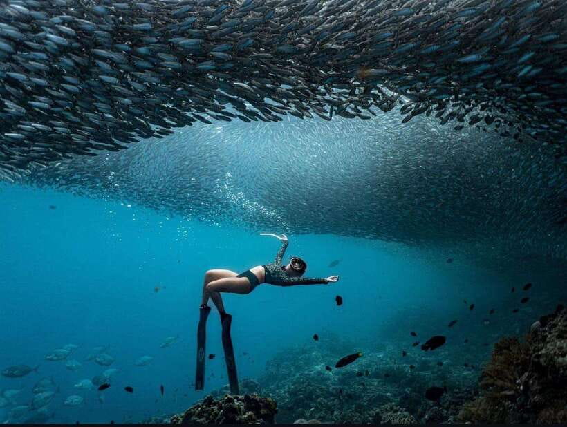 Bohol: Guided Sardine Reef Snorkeling Experience - Hotel Pickup in Panglao Requires Careful Checking