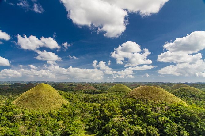 Bohol Highlights Tour: Chocolate Hills, Tarsier Spotting and Loboc River Cruise - Key points at a glance