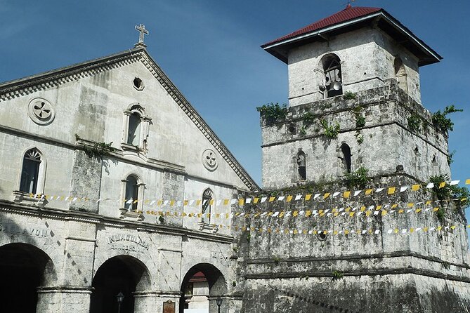 Bohol Highlights Tour: Chocolate Hills, Tarsier Spotting and Loboc River Cruise - Driving through Bilar’s mahogany forest