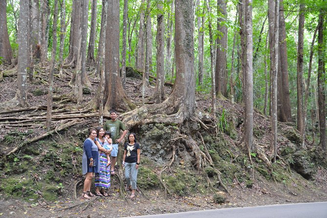 Bohol Island Countryside Tour with Buffet Lunch River Cruise (Cebu or Bohol) - One day, four classic Bohol sights