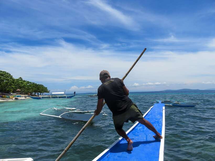 Bohol: Pamilacan Island Dolphin/Turtle Watching Tour & Lunch - Five details that shape the day