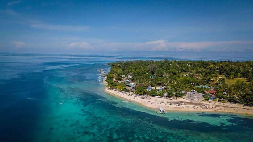 Bohol: Pamilacan Island Dolphin/Turtle Watching Tour & Lunch - Who will enjoy this tour most