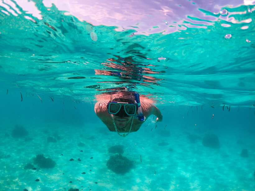Bohol: Pamilacan Island Dolphin/Turtle Watching Tour & Lunch - An early start from Abraham Bohol