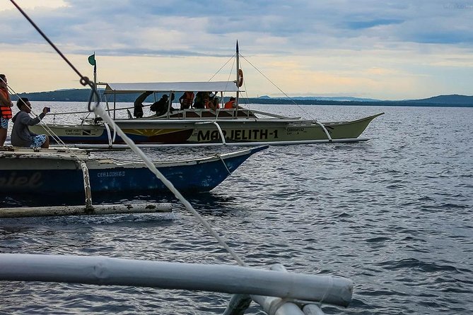 Bohol: Pamilacan Island Dolphin & Whale Watching Tour - Setting out from Tagbilaran or Panglao