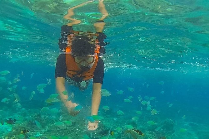 Bohol: Pamilacan Island Dolphin & Whale Watching Tour - Pamilacan Island and its working community