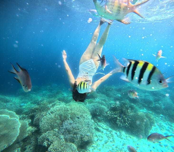 Bohol: Panglao Island Hopping Tour with Snorkeling (Private) - Is $90 per person good value?