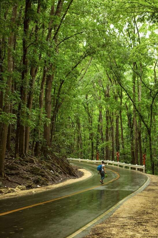 Bohol: Premium Chocolate Hills, Tarsiers & River Experience - Why this Bohol day trip works