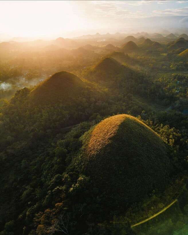 Bohol: Premium Chocolate Hills, Tarsiers & River Experience - What the tour really costs