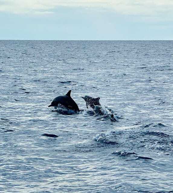 Bohol PREMIUM PAMILACAN Island Tour - What the $114 Price Really Covers