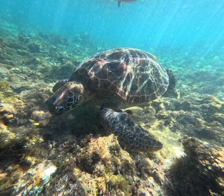 Bohol PREMIUM PAMILACAN Island Tour - Small Details That Make the Day Easier