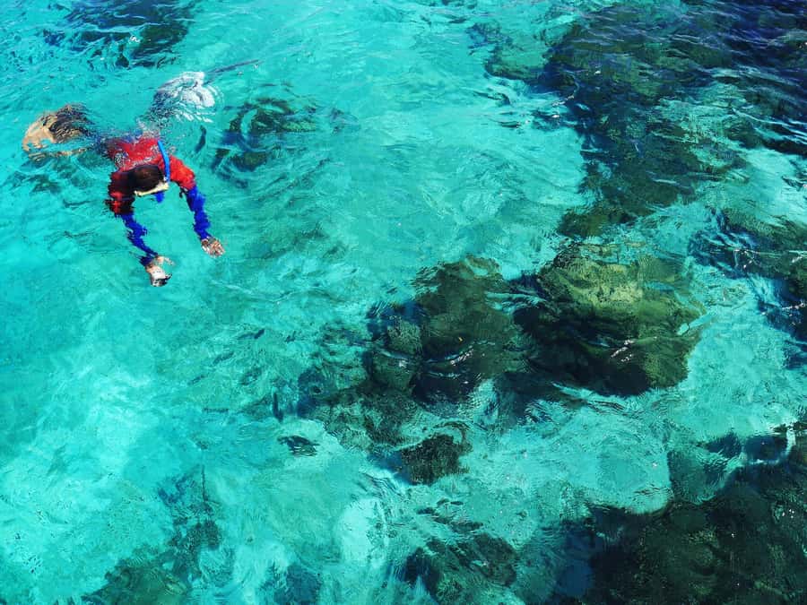 Bohol: Private Balicasag Tour with extra snorkeling time - Is $110 per person a fair price?