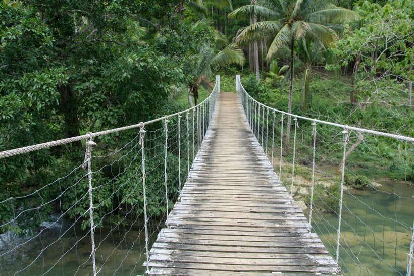 Bohol: Private Countryside Tour with Buffet Lunch - Why this private Bohol tour works well