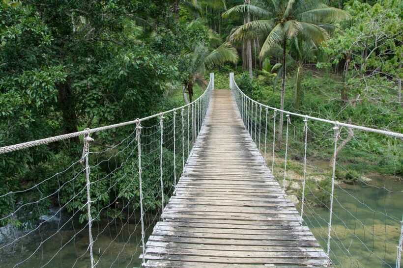 Bohol: Private Countryside Tour with Buffet Lunch - Lunch on the Loboc River