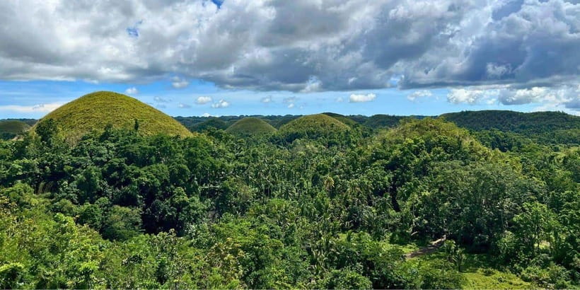 Bohol Private Tour: Chocolate Hills, Tarsiers & Loboc River - Meeting Bohol’s tiny tarsiers