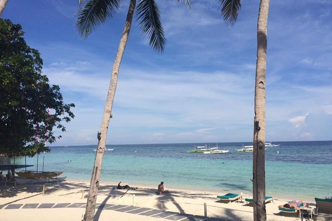 Bohol's Panglao Island Half Day Land & Half Day Island Hopping (Cebu or Bohol) - What this Panglao combination tour actually offers