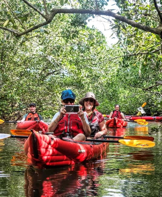 Bohol: SUSTAINABLE Mangrove Tunnels & Firefly Kayaking trail - Quick reasons to consider this Bohol eco-adventure