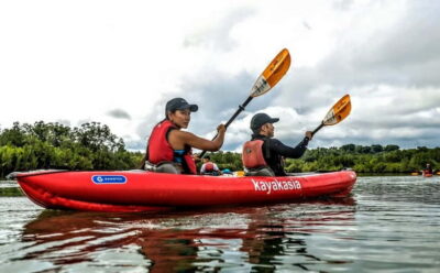 SUSTAINABLE Mangrove Tunnels & Firefly Kayaking trail