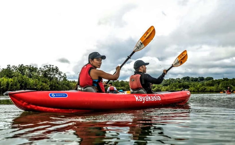 Bohol: SUSTAINABLE Mangrove Tunnels & Firefly Kayaking trail - Getting from Bohol’s resort areas to the river