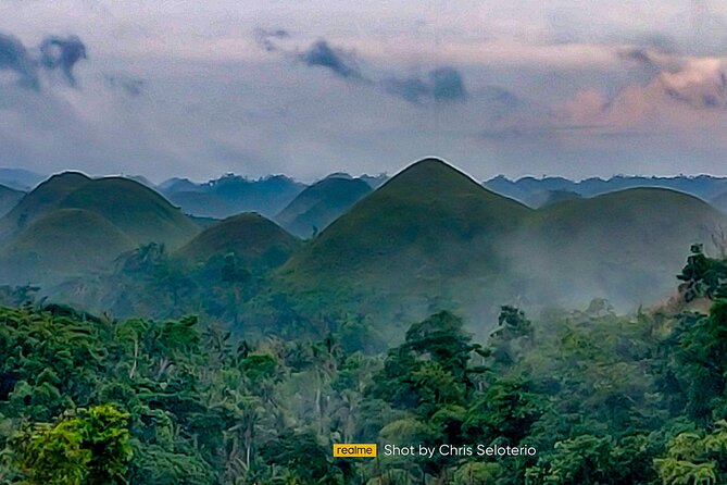 BOHOL Tour 2026 - Chocolate Hills, Tarsier and River Cruise Lunch - A close look at Philippine tarsiers