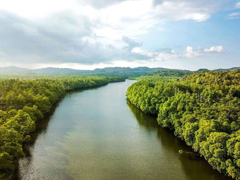 Bohol Tour Package: 3-Day Paradise Adventure - Stand-up paddleboarding on Loboc River