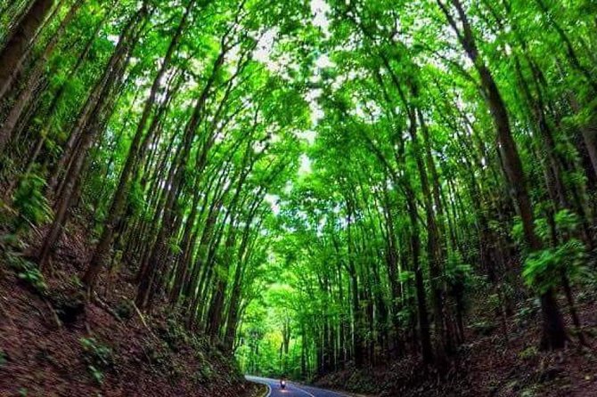Bohol Tour with Bike Zip Adventure - What the $174.36 price really covers