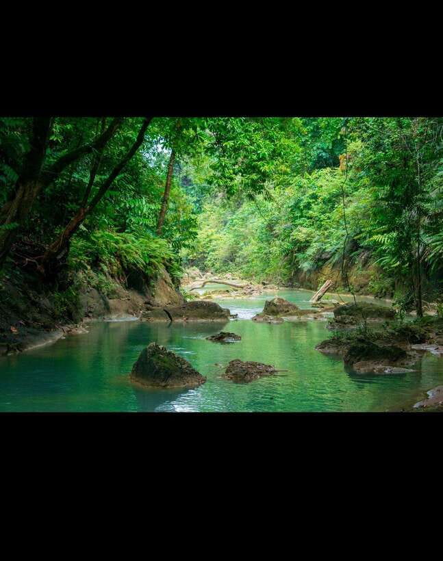 Bohol: Waterfall Hopping & Secret Jungle Trails Guided Tour - The middle stops bring the real payoff