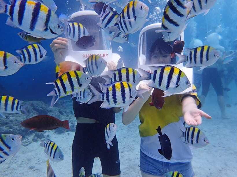Boracay: Aquanaut Adventure with Photos and Videos - Walking on the sea floor for 15 minutes