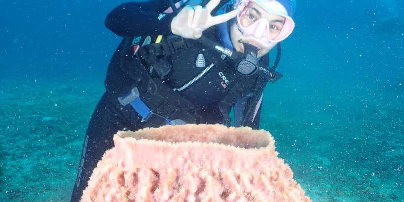 Boracay: Introduction to Scuba Diving Experience - Timing your Boracay session