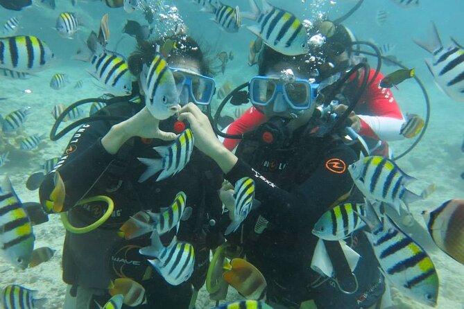 Boracay PADI Discover Scuba Diving - What the Boracay experience is really offering