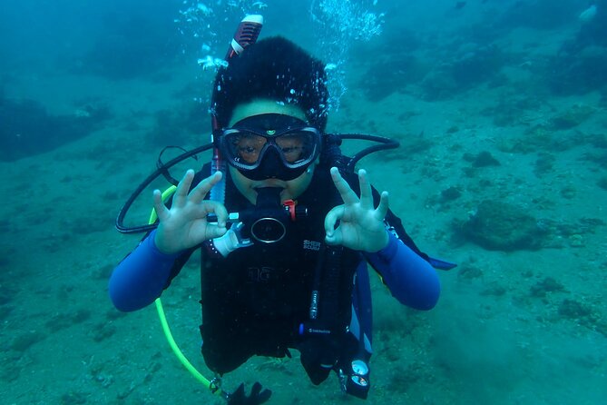 Boracay PADI Discover Scuba Diving - Underwater pictures without carrying a camera