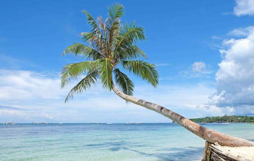 Boracay Private Land Tour - Meeting point and practical planning
