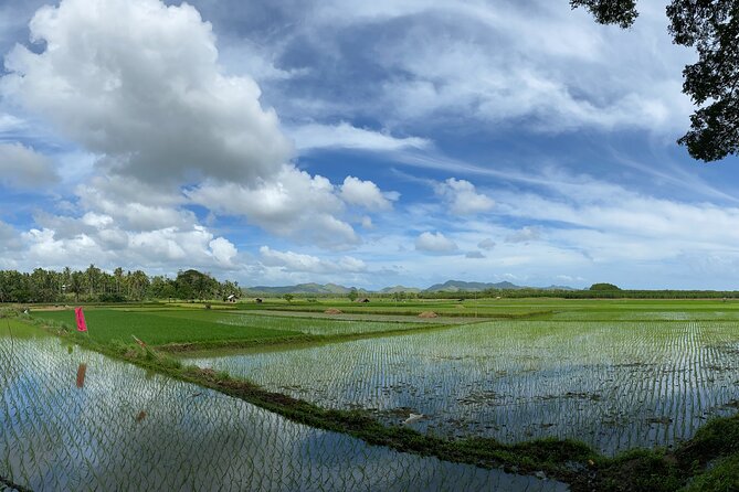 Can-umantad Falls and candijay rice terraces Eco Tour - A short pause at Anda beach
